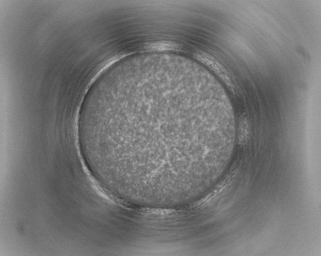 X0000115061039200912071147