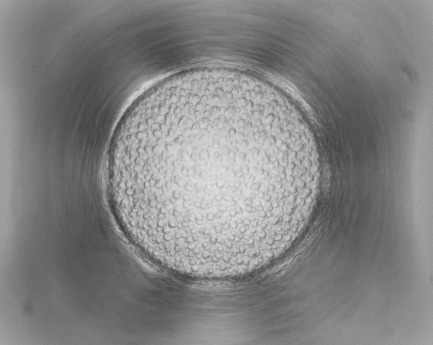 X0000115061040200912071147