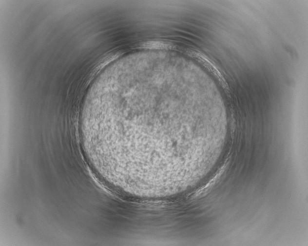 X0000115061041200912071147