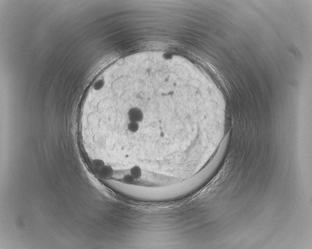 X0000115061042200912071147