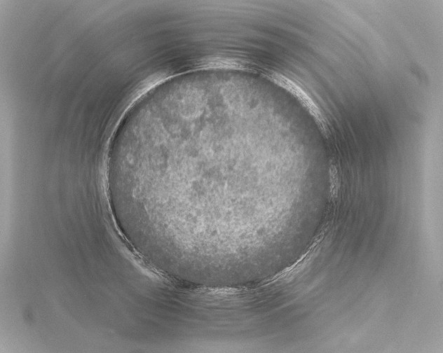 X0000115061043200912071147