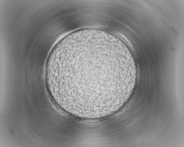 X0000115061044200912071147