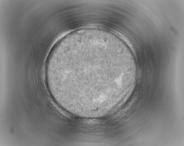 X0000115061045200912071147