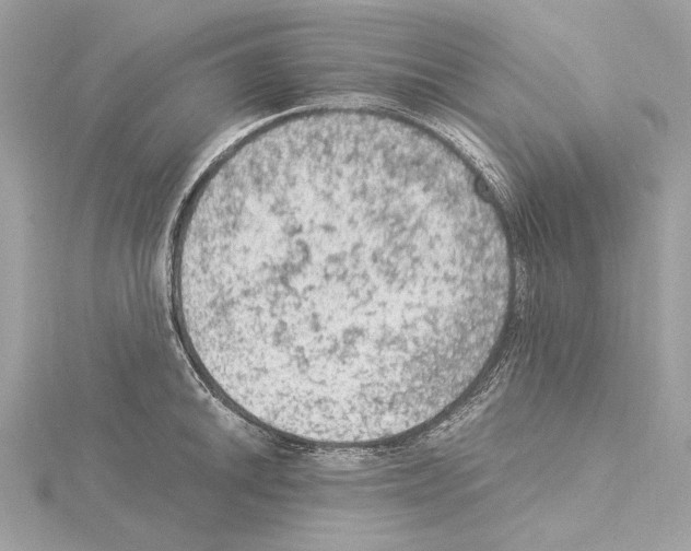 X0000115061046200912071147