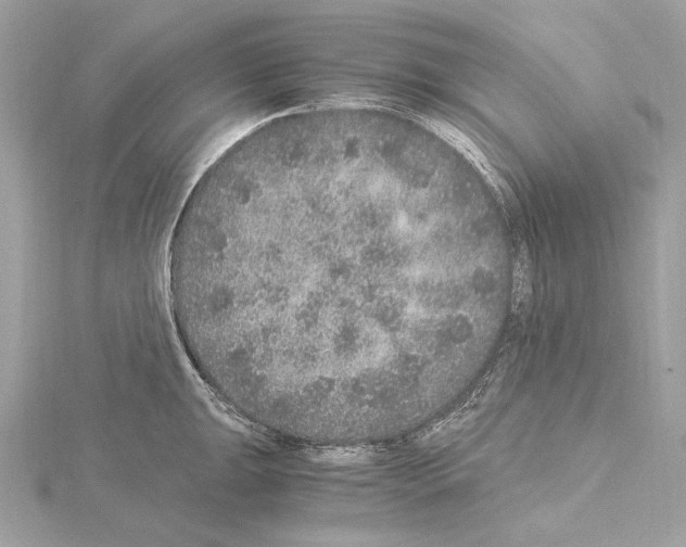 X0000115061047200912071147