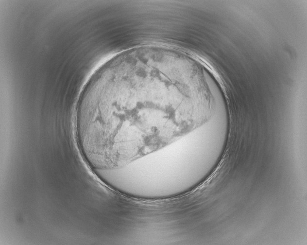 X0000115061048200912071147