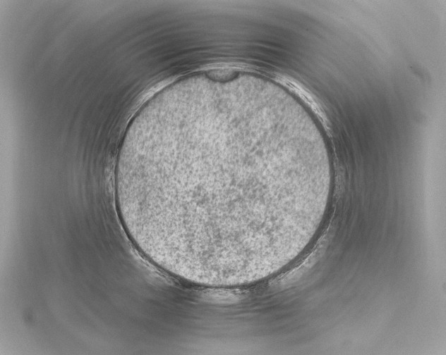 X0000115061049200912071147