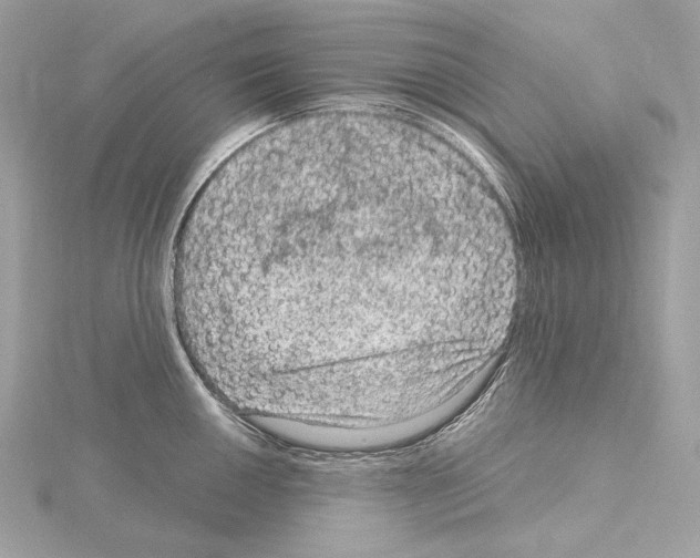 X0000115061050200912071147