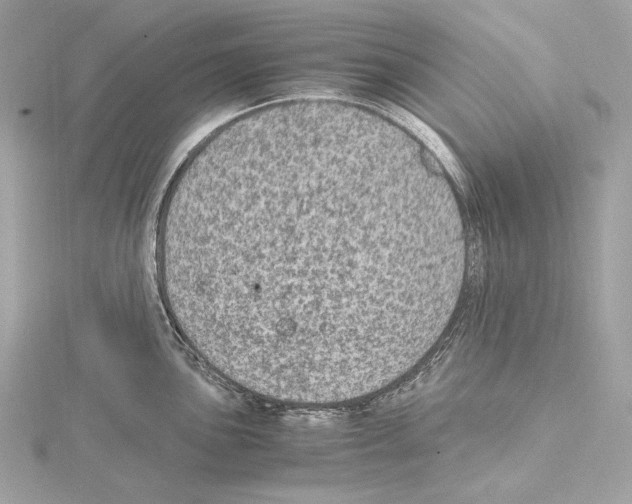 X0000115061051200912071147