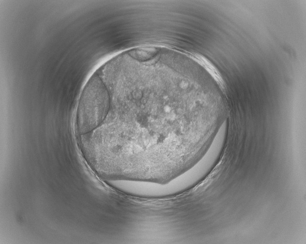 X0000115061052200912071147