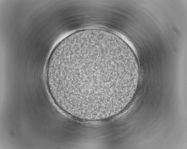 X0000115061053200912071147