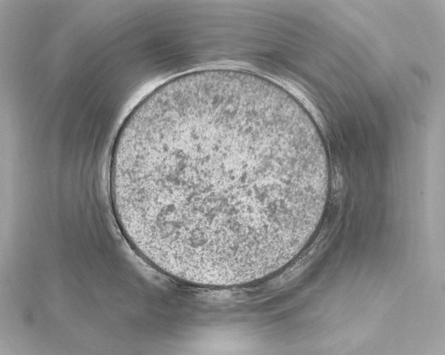 X0000115061054200912071147