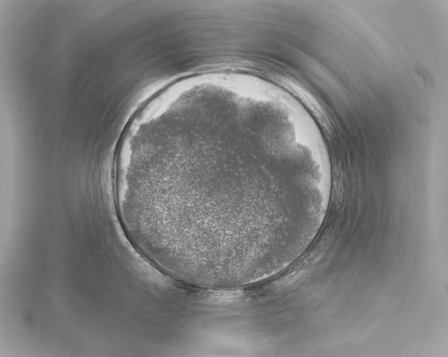 X0000115061055200912071147