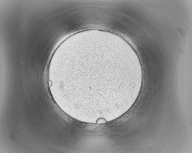 X0000115061056200912071147