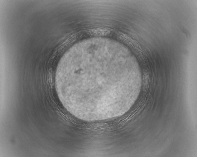 X0000115061058200912071147