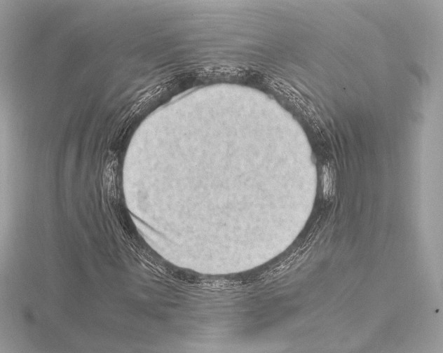 X0000115061059200912071147