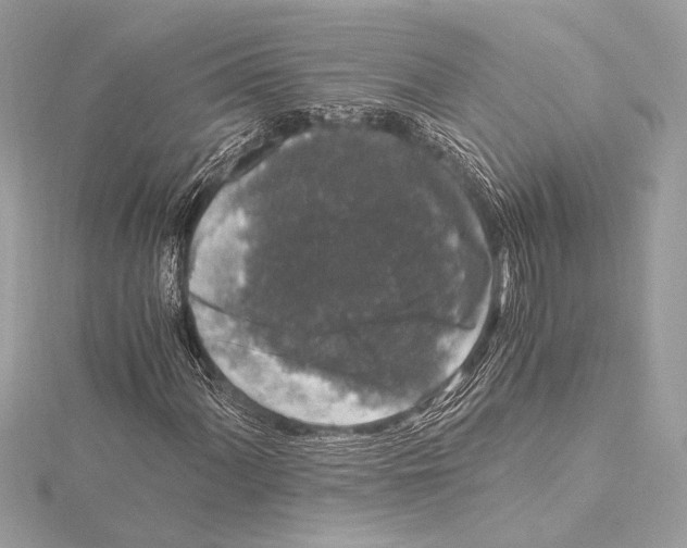 X0000115061060200912071147