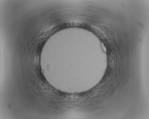 X0000115061061200912071147