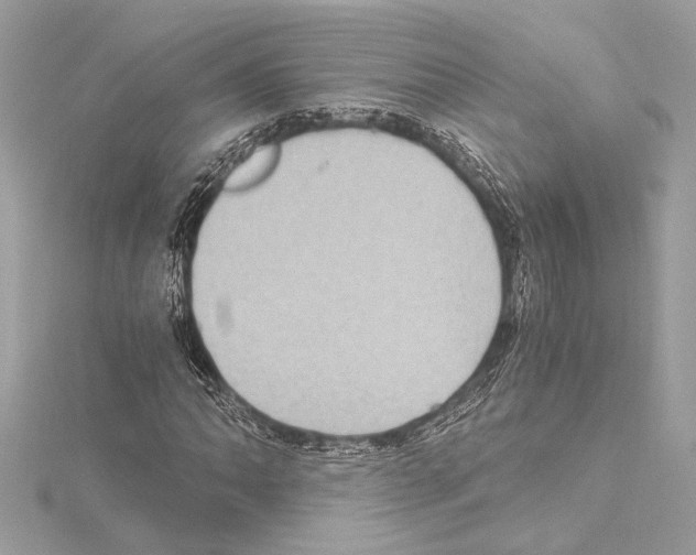 X0000115061062200912071147