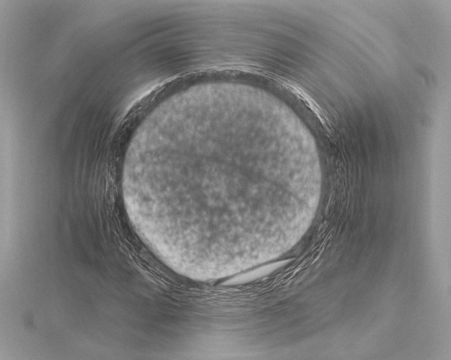 X0000115061064200912071147