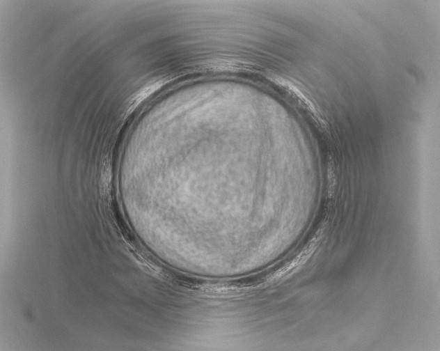 X0000115061065200912071147