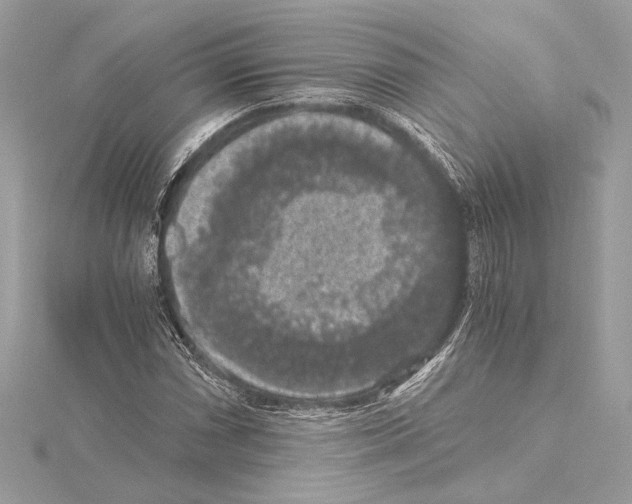 X0000115061066200912071147