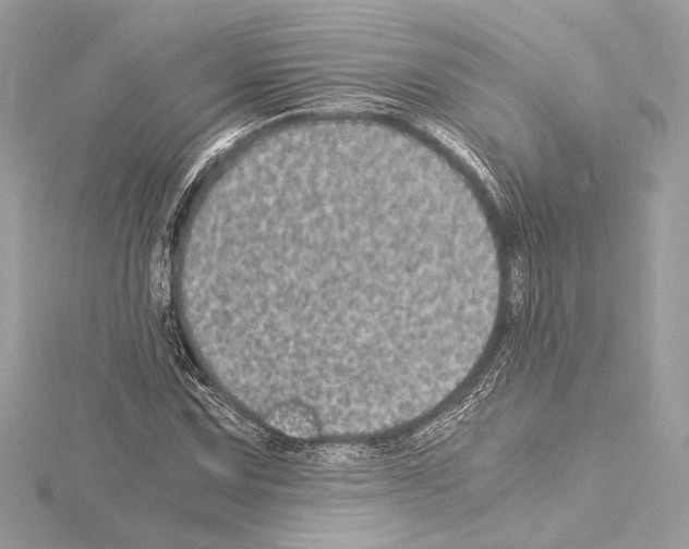 X0000115061067200912071147