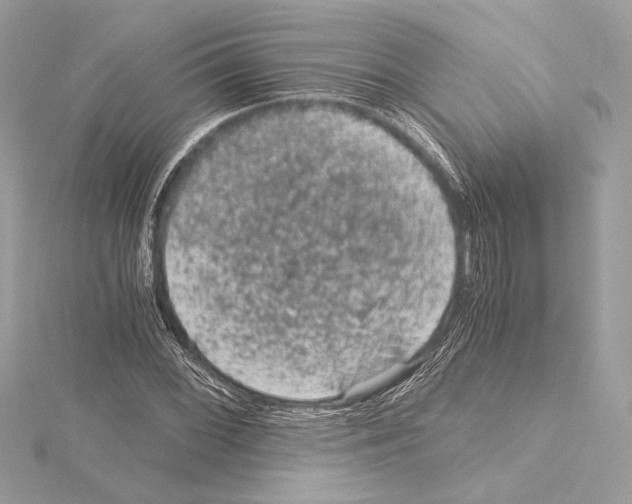 X0000115061068200912071147