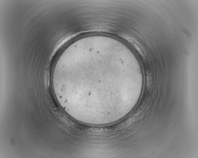 X0000115061069200912071147