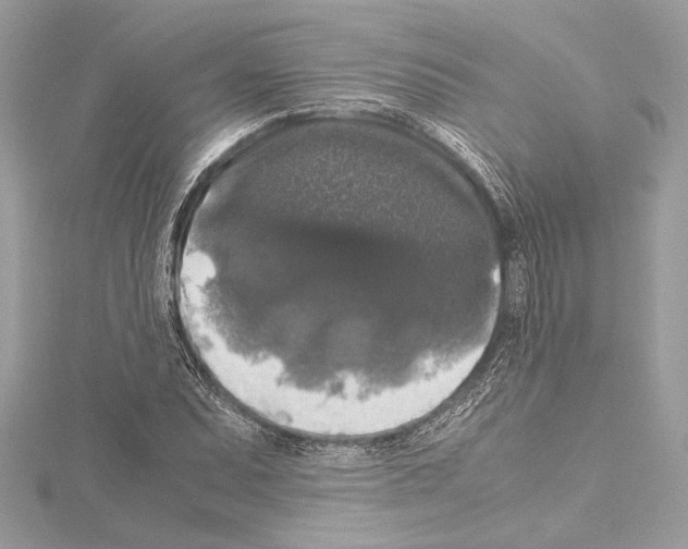 X0000115061071200912071147