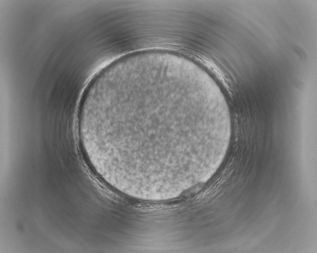 X0000115061072200912071147