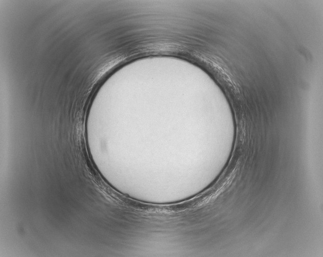 X0000115061073200912071146