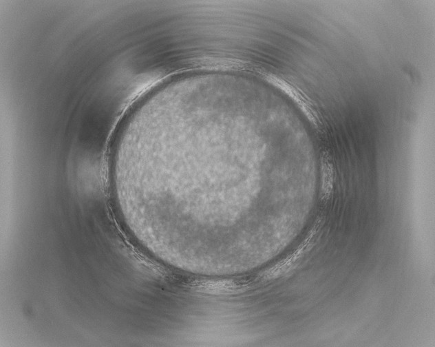 X0000115061074200912071146