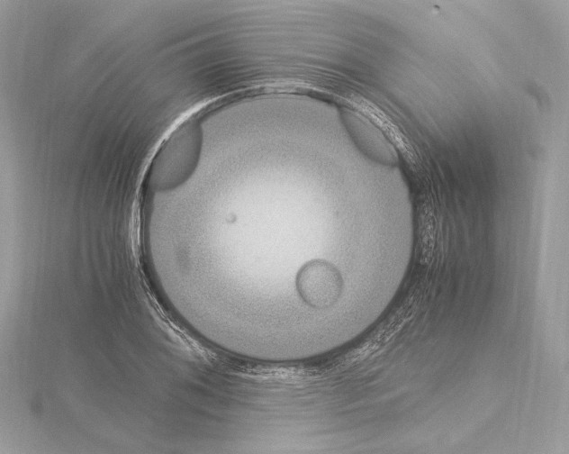 X0000115061076200912071146