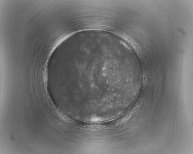 X0000115061077200912071146