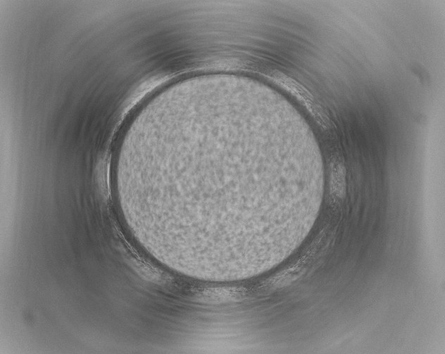 X0000115061078200912071146