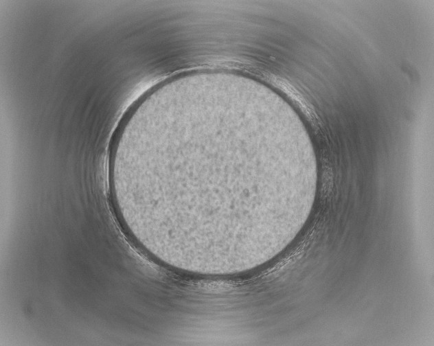 X0000115061079200912071146