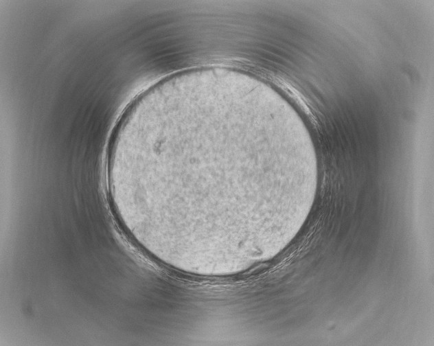 X0000115061080200912071146