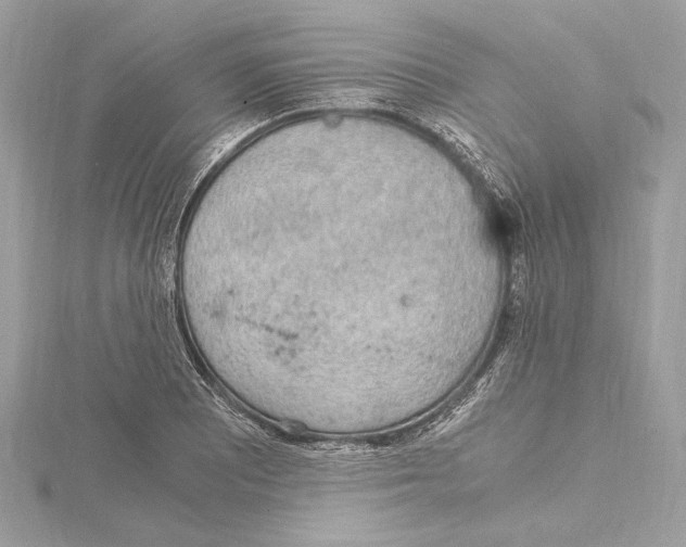 X0000115061081200912071146