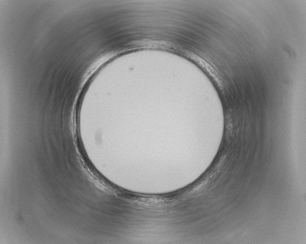 X0000115061082200912071146