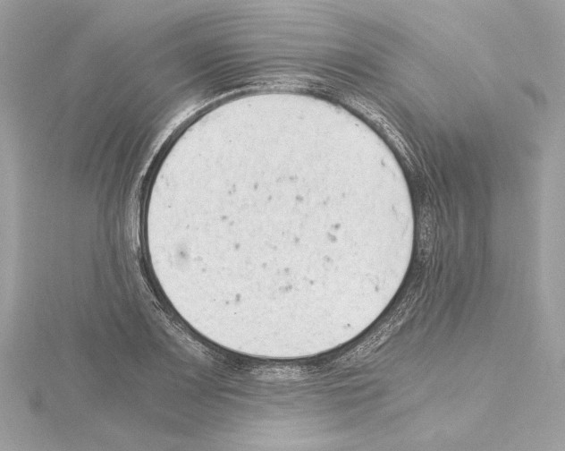 X0000115061083200912071146