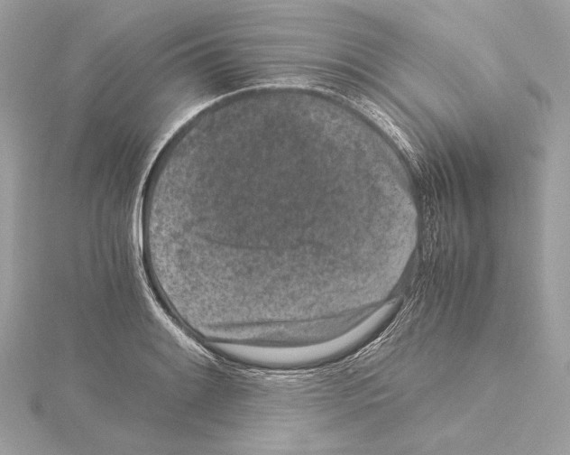 X0000115061084200912071146