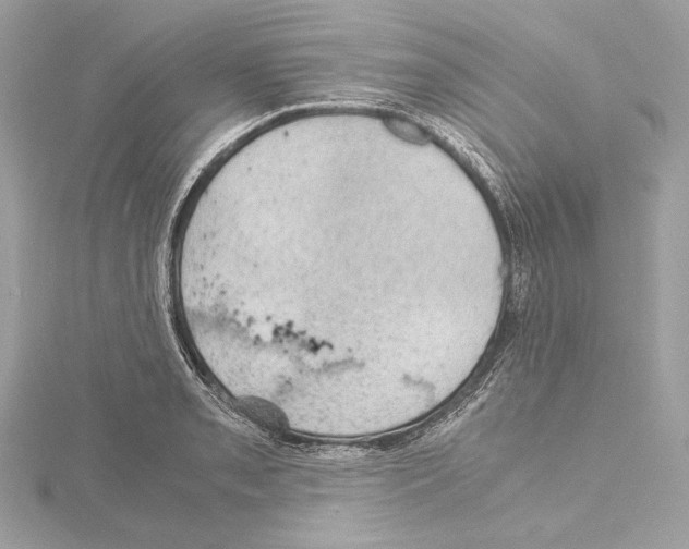 X0000115061085200912071146