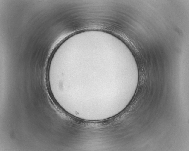 X0000115061086200912071146