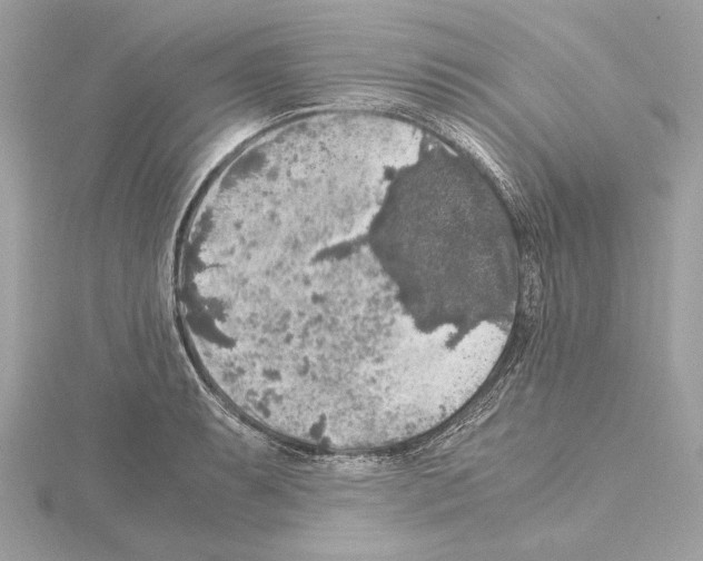 X0000115061087200912071146