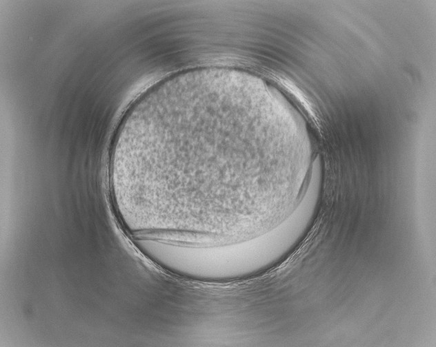 X0000115061088200912071146