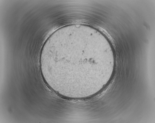 X0000115061089200912071146