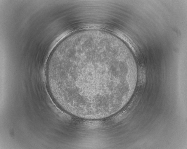 X0000115061090200912071146