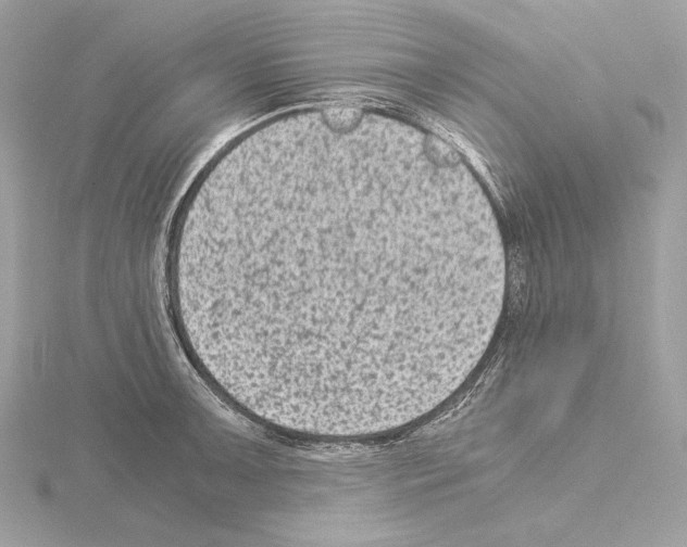 X0000115061091200912071146