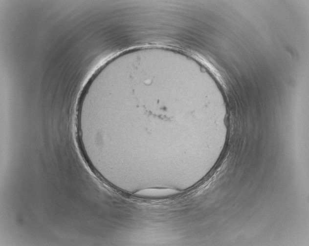 X0000115061093200912071146